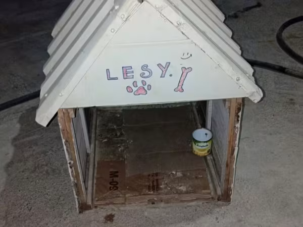 İt evi (künc damlı) - Material: taxta karkas, üstü rənglənmiş