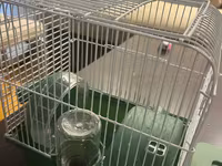 Hamster ucun qefes satilir, elave oyuncaqlar da var. Icini deyismek — 照片 1