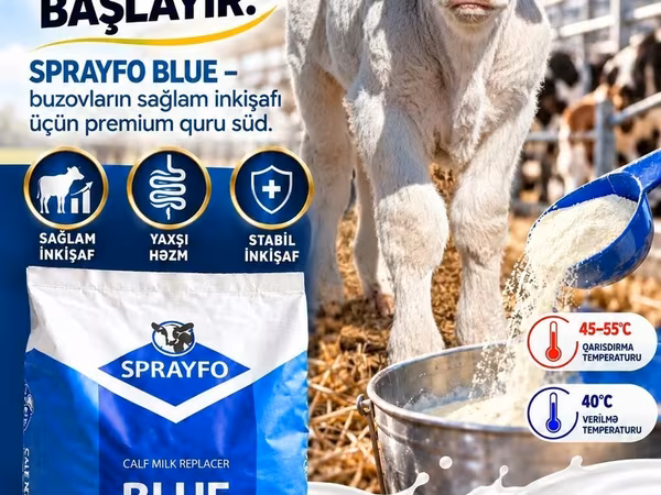 SPRAYFO BLUE – Buzovlar üçün quru süd / süd / süd qurusu / buzov