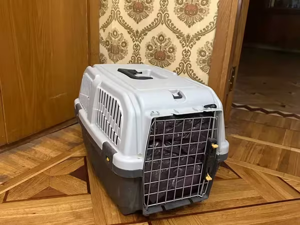 Переноска для собак и кошек до 10 кг