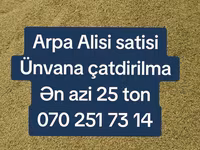 Arpa topdan satış - Yemlik arpa - Minimum sifariş miqdarı: 25 ton - — foto 2