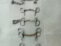 घोड़ी, घोड़े — फ़ोटो 1