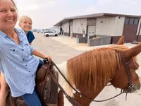 At, Pinto horses — foto 8