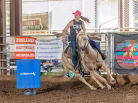 Hengst, Quarter Horse — Foto 3