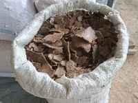 Семичка кунжола с — Foto 1