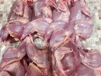 Quails — الصورة 3