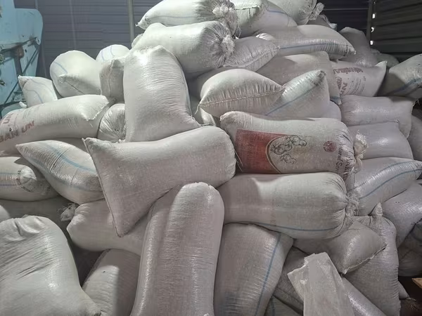 Günəbaxan tumu qabığı