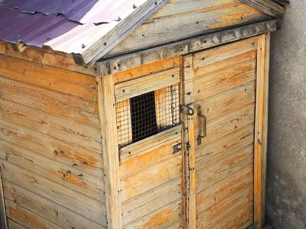 Taxta göyərçin yuvası/kümesi - Material: qalın taxta karkas, iç və