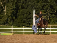 At, Racking Horse — foto 7