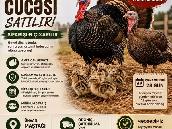 Bürünc — Azərbaycan