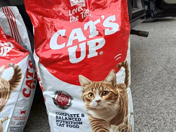Cat’s Up – tam və balanslaşdırılmış qidalanma üçün quru pişik yemi