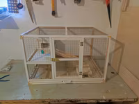 Papuqay,dovşan,hamster,şinşila,bildirçin,cücə,xamyak,pişik,quş,tısbağa — Foto 1