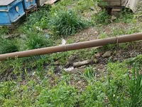 Arıçılıq üçün pətəklər və inventar dəsti - Taxta korpuslu, metal — foto 1