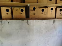 Taxta quş yuvaları (dovğa/taxta qutular) - Material: sıx — foto 2