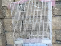 Vatsapla elaqe saxlasyin quslar qefesler Məhsul: Nimfa (Cockatiel) — 照片 3