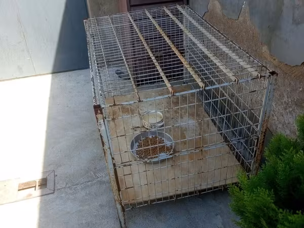 Möhkəm metal qəfəs – heyvanlar üçün - Material: polad məftil karkas