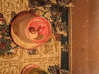 Turkeys — photo 2