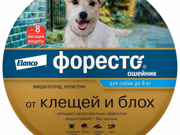 Ошейник для собак Форесто, пользовались меньше месяца