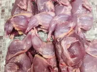 Quails — الصورة 1