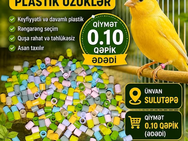 Məhsul: Kanarya sinifinə aid plastik üzüklər - Keyfiyyətli və davamlı