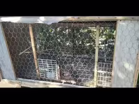 Վաճառում է թռչունների վանդակ 12060 — الصورة 2