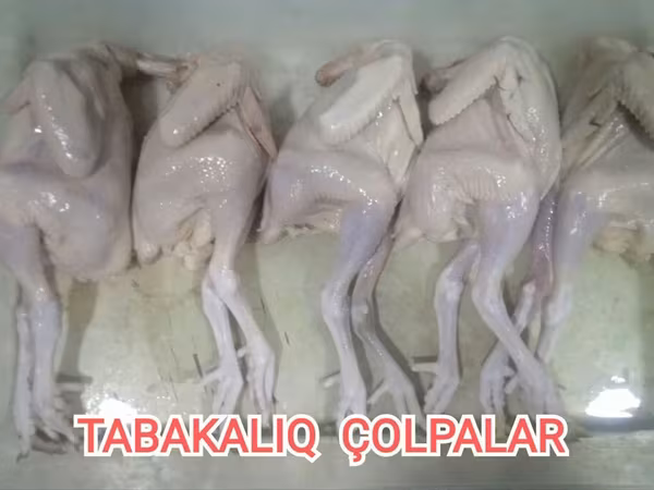 Serebris Çolpa əti. Tez bişən. 1 ədədi - Çəkisi: 500-600 qr = 6 ₼ -