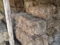 Խոտի տուկ խոտ սարի խոտ — फ़ोटो 4