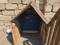 Taxta it evi / qəfəs tipli budka - Material: qalın taxta lövhələr və — Foto 4