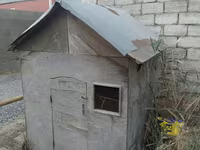 Taxta toyuq/heyvan daxması - Material: qalın faner taxta karkas — फ़ोटो 3