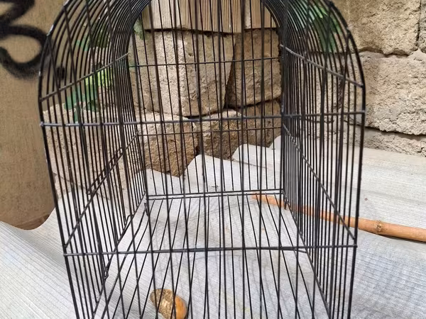 BARTER VAR!!!!!!Qəfəs quşlara məhəbbət,bülbül,xamyak,tısbağa və.s