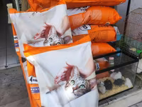 It pişik yemləri ucuz qiymət — 照片 2