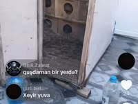 Göyərçin yuvası satılır hündürlüyü 1.50 eni 1.30 uzunu 1. 50 Hər yani — Foto 1