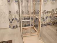 Papuqay,dovşan,hamster,şinşila,bildirçin,cücə,xamyak,pişik,quş,tısbağa — Foto 2