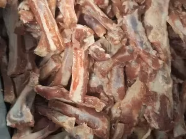 Ոսկոր տարբեր տեսակների