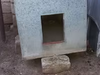 Satılır 70 manat.İt yuvası.Dəmir içi lambirin və — фото 5