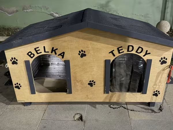 İkili it evi – geniş və funksional - İki girişli model: sol tərəf
