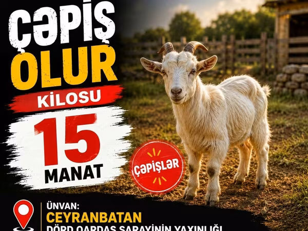 Goats (batch, sex not specified), Goats — Azerbaijan