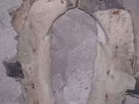 At arabası/yük arabası üçün köhnə tip qoşqu boyunduruğu (xomut) - — foto 1