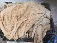 Quzu qarını ədədi yox kilosu 1.60 ədədi bir kilo gəlmir çəkisi az olur — الصورة 3