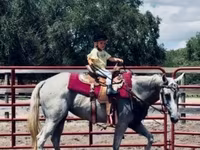 Stute, Quarter Horse — Foto 8