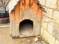 Taxta it evi - Material: təbii taxta lövhələr, ikiqat maili dam — الصورة 1