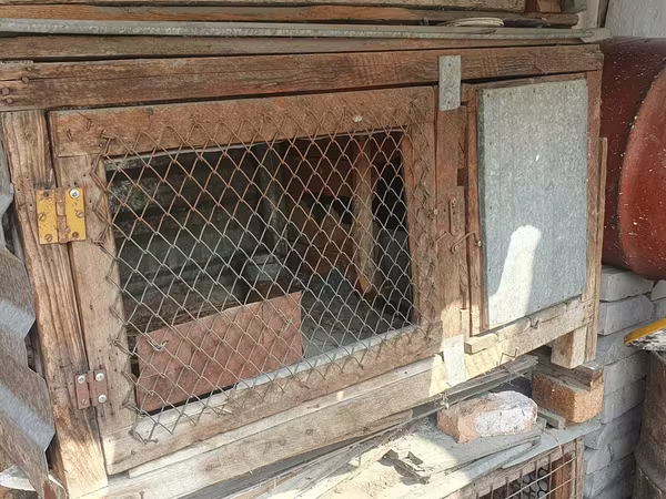 Крольчатник самодельный