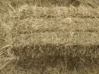 Ot presi satılır, Bəbəli kəndində. Çəkisi 25-30kg - 1 ədəd 2 manat 30 — foto 2