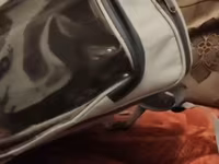 Ev heyvanları üçün daşıma çantası/backpack tipli daşıyıcı. Açıq boz — फ़ोटो 4