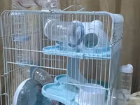 Продаются 2 клетки для хомяков в идеальном состоянии.Hamster üçün tam — foto 2