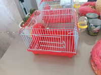 Hamsterler üçün qəfəs və aksesuar dəsti + yem — الصورة 2