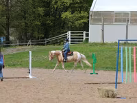 Caballo, American paint horse — foto 7