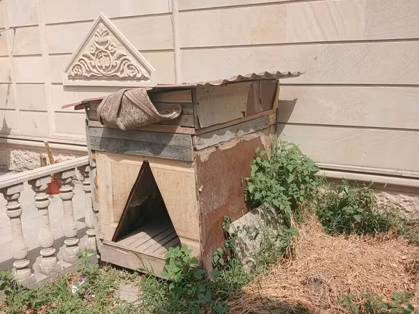 It həyətyanı sahə üçün böyük ölçülü it evi - Material: taxta karkas