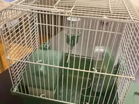 Hamster ucun qefes satilir, elave oyuncaqlar da var. Icini deyismek — 照片 3