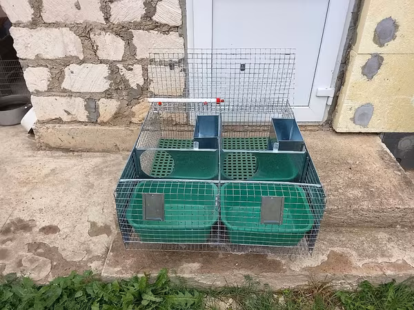 Cuști pentru iepuri клетка для кроликов